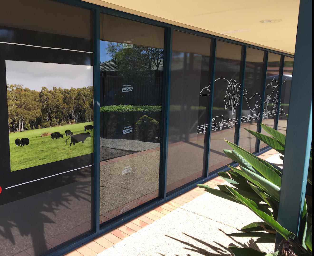 Commercial Window Tinting